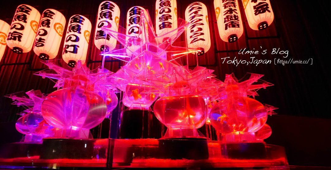東京日本橋必去|日本藝術水族館，江戶．金魚の涼&夜之水族館，史上最大型金魚展，晚上變身時尚酒吧！