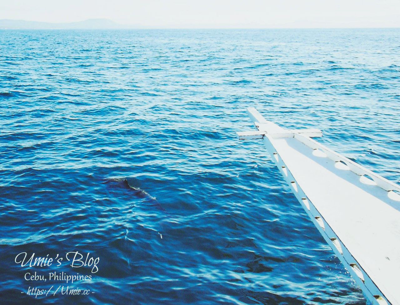 菲律賓宿霧 Day5|出海追海豚、巴里卡薩島Balicasag Island大斷層浮潛&必去的蜜蜂農場餐廳 : )