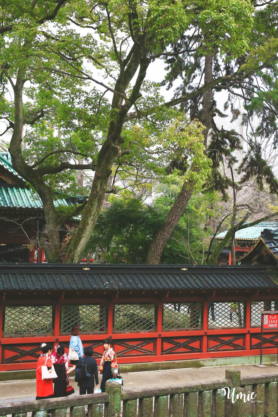 跟著日本在地觀光導遊FELLOW TRIP一起深度玩日本! 東京谷中銀座|根津神社|千駄木日本和菓子教室初體驗