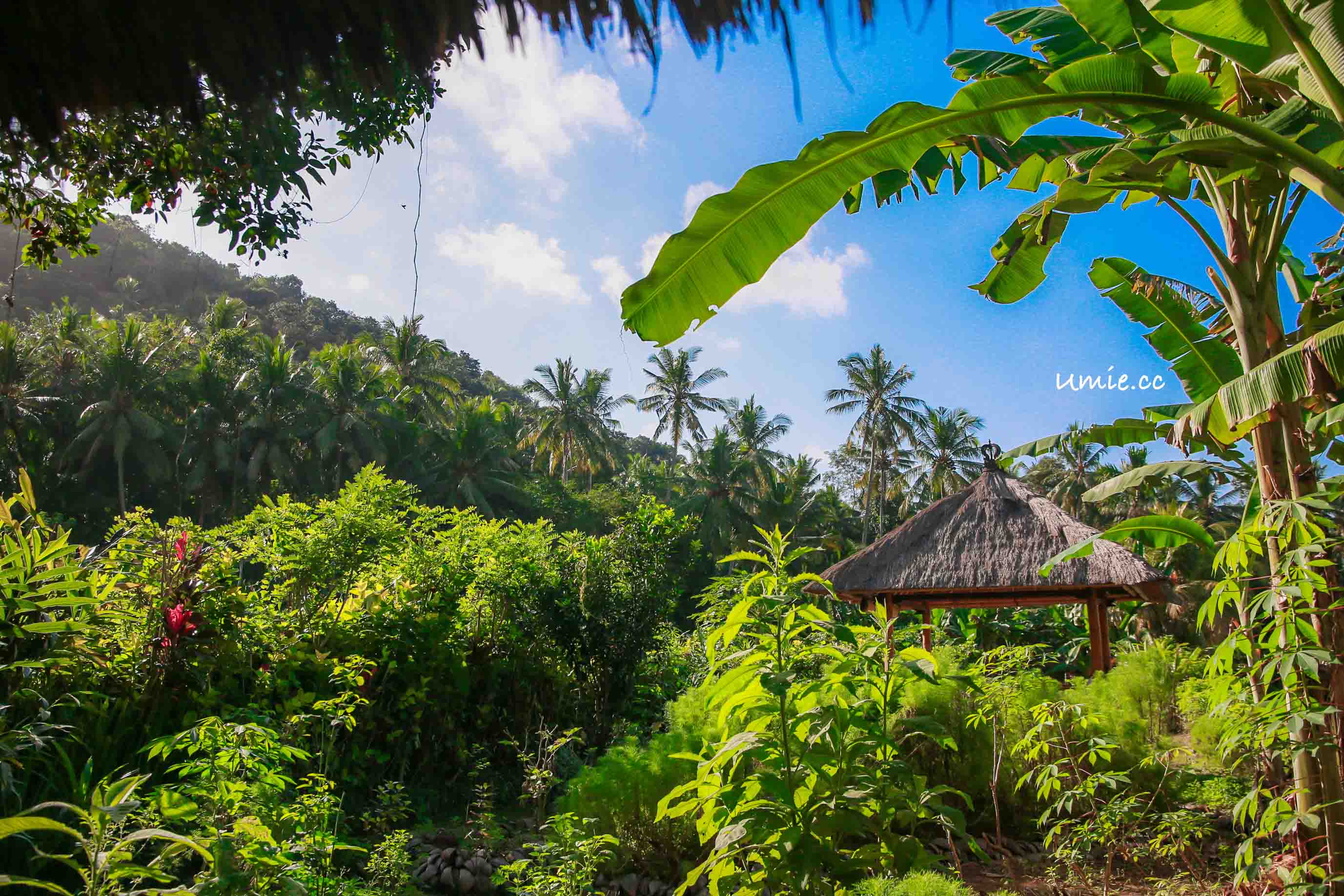 峇里島|巴里島行程推薦-阿里拉曼格斯渡假村Alila Manggis 迷人的大自然戶外早餐