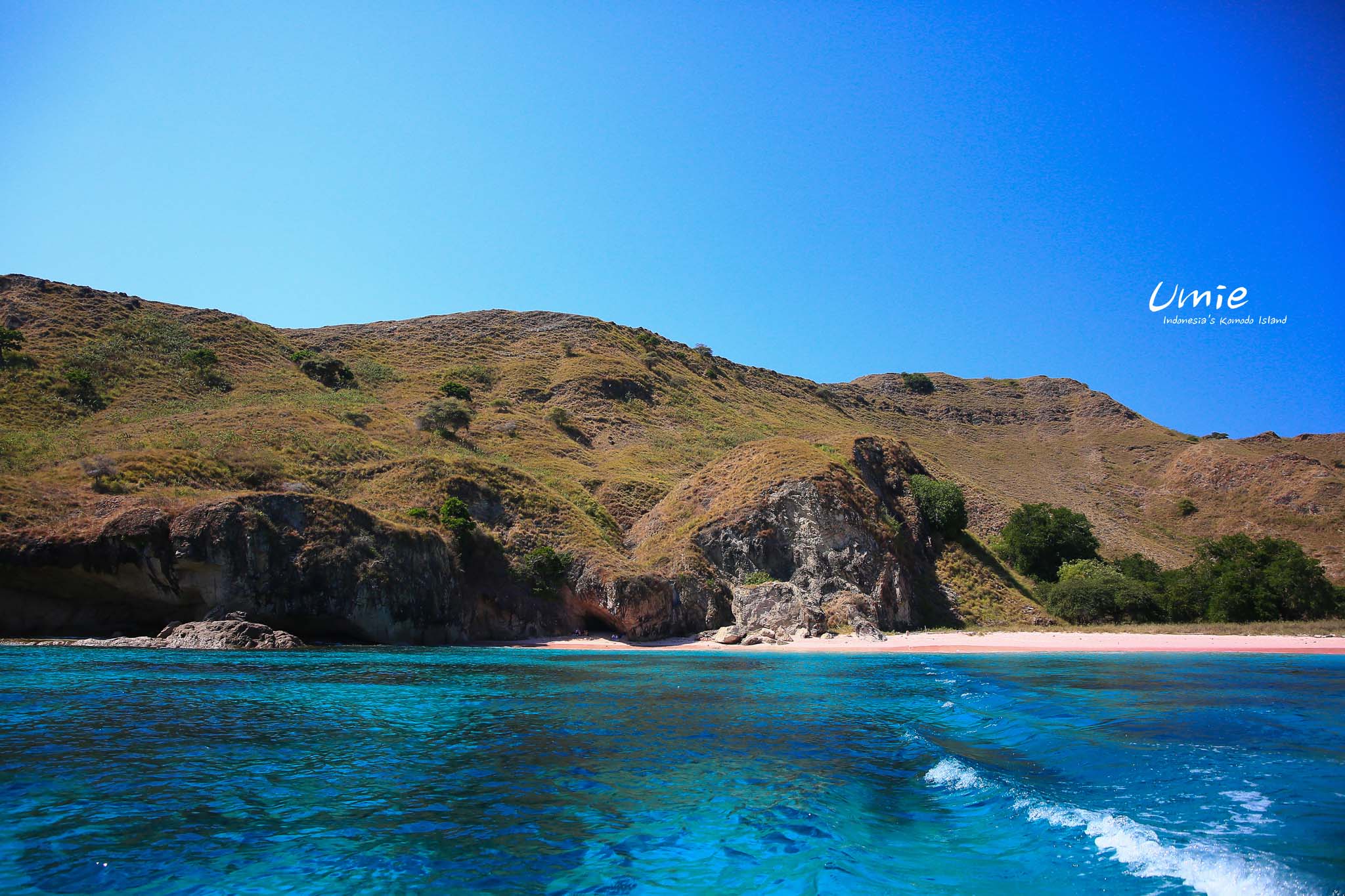 印尼科摩多島推薦行程|船宿遊科摩多群島!人生首次船宿就要在科摩多國家公園海上！