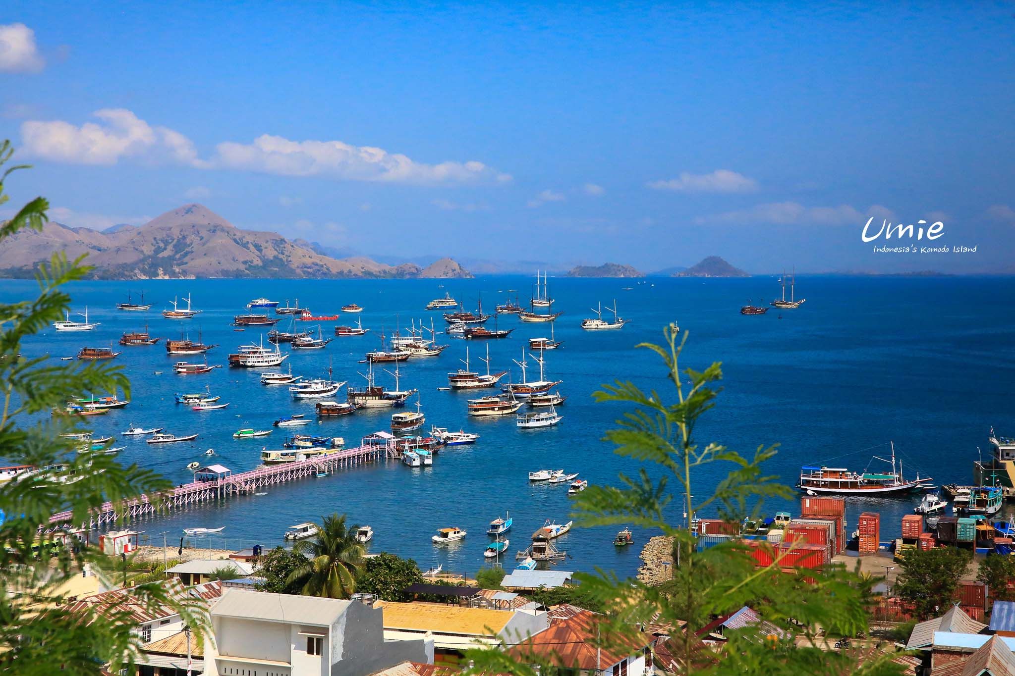 印尼科摩多島推薦行程|船宿遊科摩多群島!人生首次船宿就要在科摩多國家公園海上！