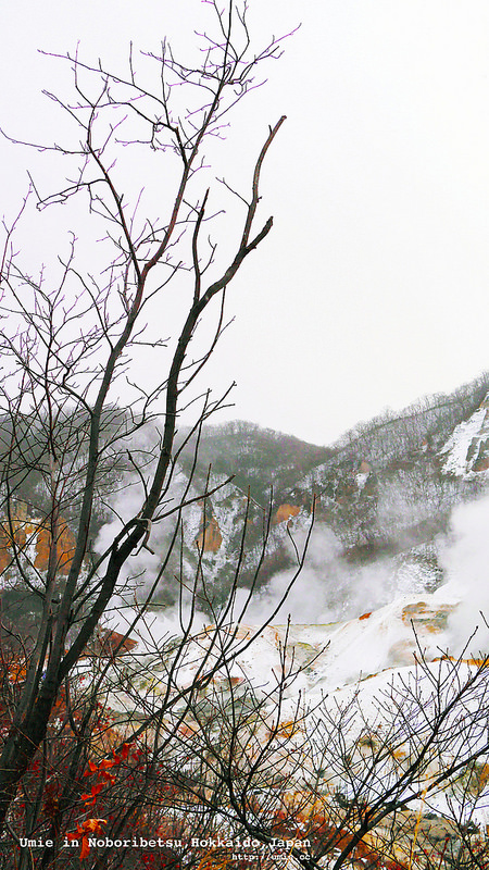 20141216 北海道登別地獄谷美景 / heading to Tomamu,Hokkaido,Japan 從札幌前往tomamu飯店！